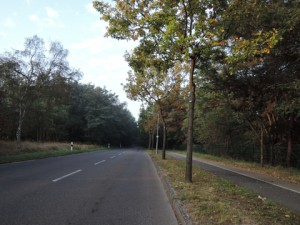 2014_006_berlin_m_1