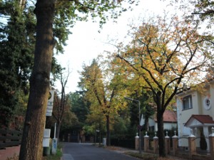 2014_006_berlin_m_8