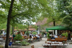 bamberg_wildrose007