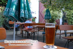 pferdsfd_leicht_bier01