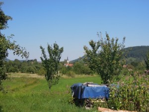 preztfeld_003